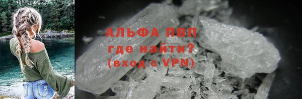индика Абинск