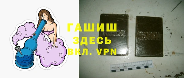 индика Заводоуковск
