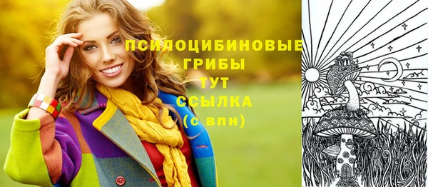 spice Абаза