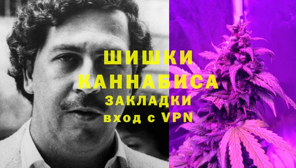 индика Заводоуковск