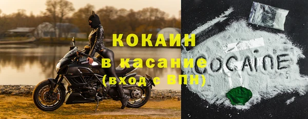 индика Абинск
