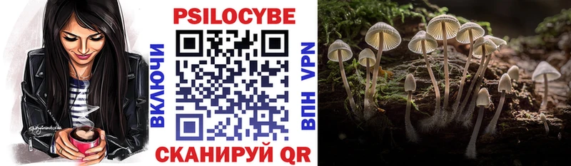 Галлюциногенные грибы Psilocybine cubensis  Туринск 